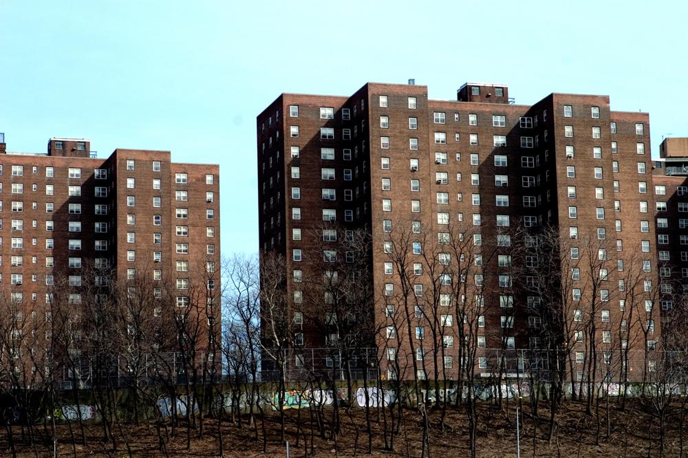 Security Guards in Co-op City Bronx, NY