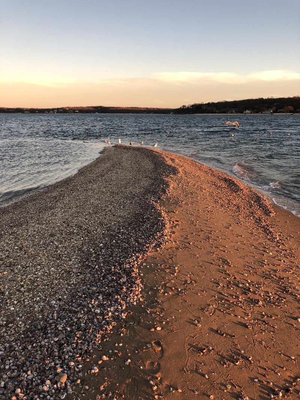 Security Guards in Huntington Bay - Long Island, New York