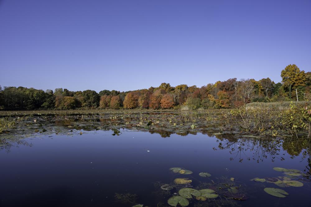 Security Guards in Lake Grove - Long Island, New York