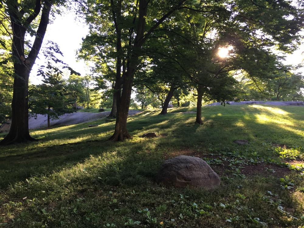 Security Guards in Munsey Park - Long Island, New York