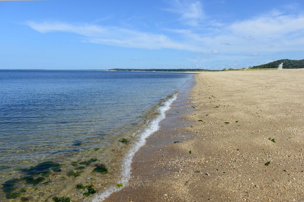 Security Guards in Poquott - Long Island, New York