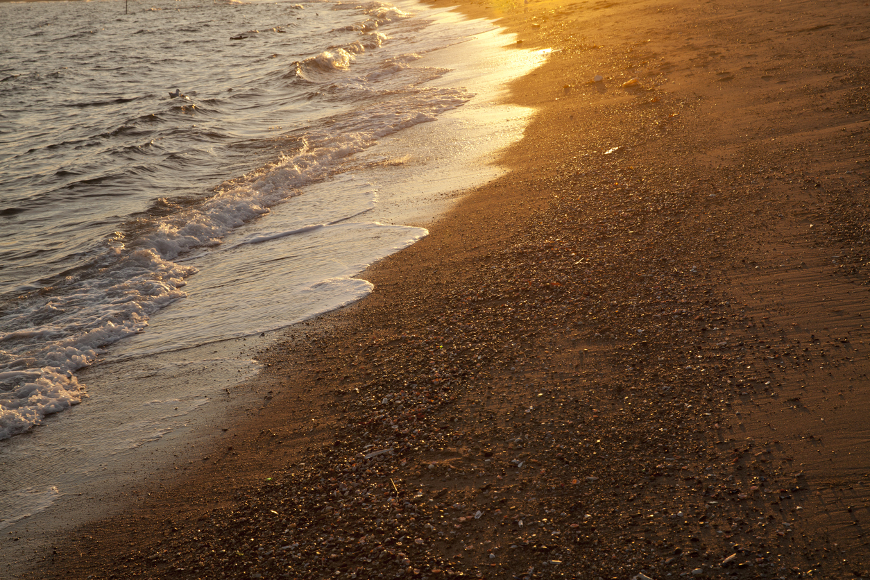 Security Guards in South Beach - Staten Island, New York